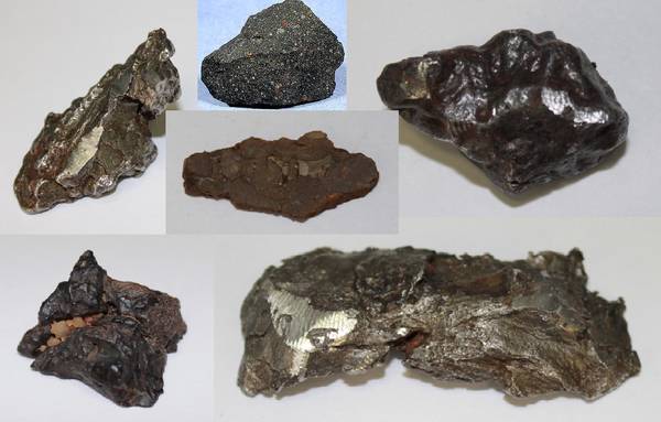 Alcuni dei meteoriti analizzati (fonte: Laboratorio Saladino/università della Tuscia)