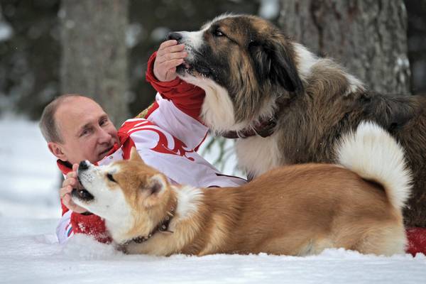 Putin gioca con i suoi cani sulla neve