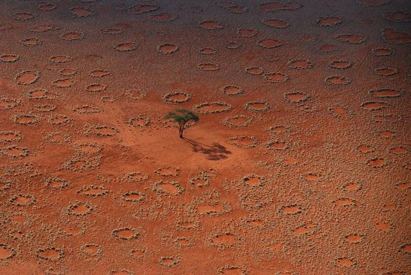 I ‘cerchi delle fate’ nel deserto della Namibia seguono uno schema regolare (fonte: Norbert Juergens, Università di Amburgo)