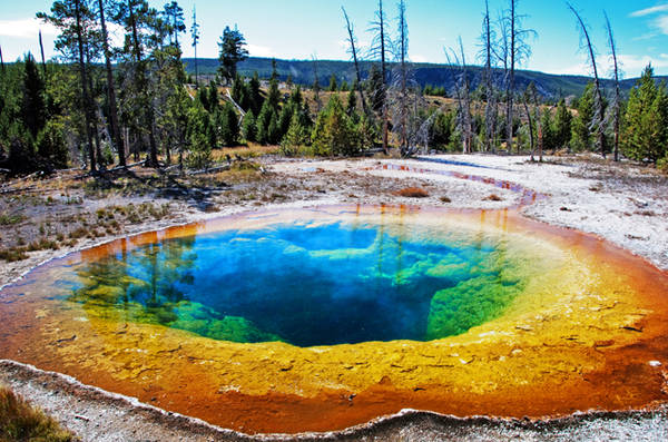 Il Parco di Yellowstone riapre il 3 e 10 maggio (Foto: Arun Yenumula)