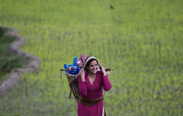 Le mondine al lavoro nelle risaie del villaggio Jitpur, alla periferia di Katmandu