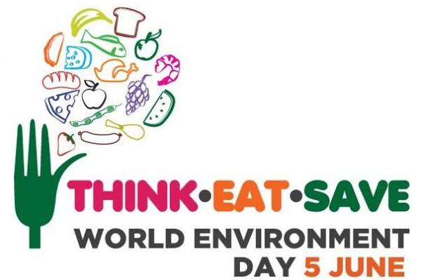 Il logo dell'Unep per la Giornata mondiale dell'Ambiente 2013