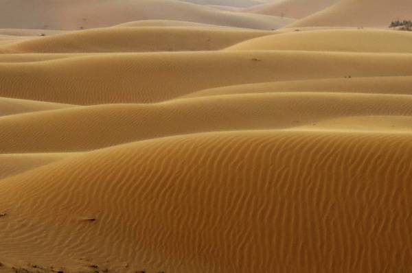 Alcune delle dune 'nate' dall'esperimento sul paesaggio del deserto della Mongolia (fonte: Clément Narteau)
