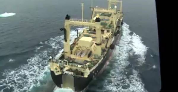 Balene: Sea Shepherd, navi Giappone a caccia in 'santuario'
