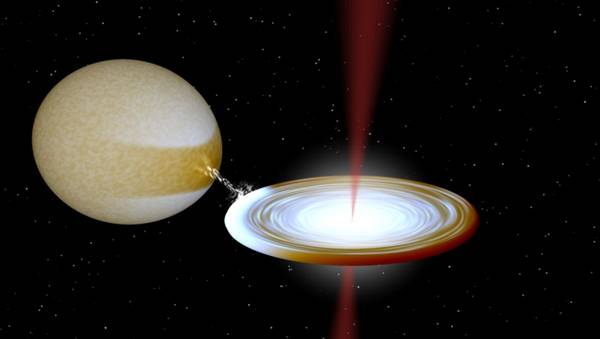 Rappresentazione artistica di un buco nero che divora materia dalla stella compagna e nello stesso tempo diffonde energia emanando getti luminosi (fonte: T.D. Russell, ICRAR-Curtin, utilizzando BINSIM di R.Hynes, LSU))