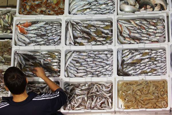 Pesca: Castiglione, pescare meno per guadagnare di più