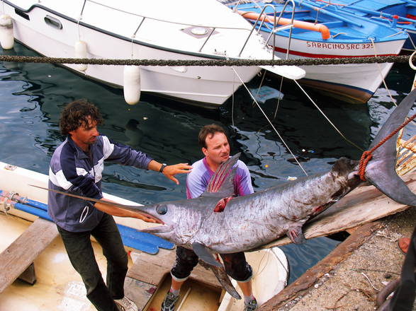 Oceana, stop sovrasfruttamento pesce spada in Mediterraneo