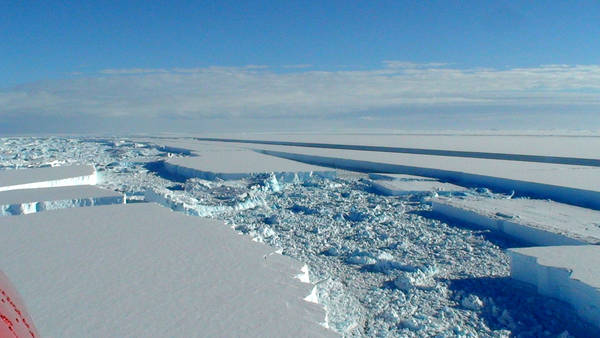 Uno scudo di ghiaccio marino protegge l'Antartide