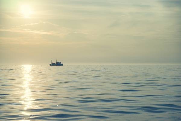 Pesca:Guardia Costiera Napoli sequestra pescespada e triglie