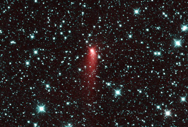 La cometa Catalina si affaccerà nel cielo di Natale, ma sarà visibile solo con l'aiuto di un binocolo (fonte: NASA/JPL-Caltech)