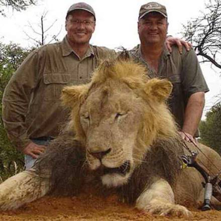 Zimbabwe, dentista Usa ammette 'ho ucciso leone Cecil'