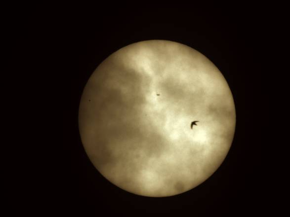 Transito di Mercurio sul Sole, con rondine (fonte: Liceo Cassini di Genova)