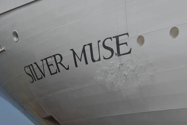 Silver Muse