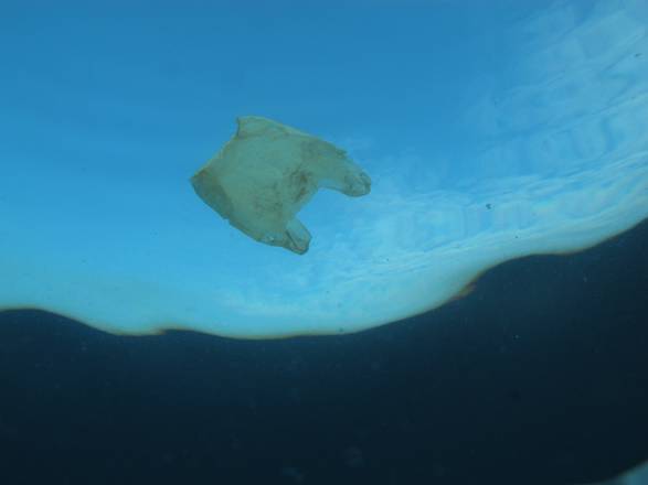 Due terzi della plastica in mare da attività marittime