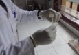 Ebola: in 3 giorni 113 nuovi casi, 84 morti © ANSA
