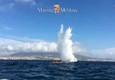 Bomba di aereo americano sul fondo del mare a Napoli © ANSA