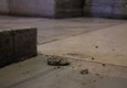 Caduti calcinacci in basilica San Lorenzo a Roma (ANSA)