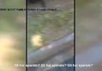 Video choc, uomo di colore ucciso a Charlotte © ANSA