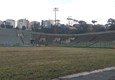Stadio Flaminio: completata la bonifica © ANSA