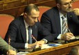 Question time di Conte, senatori Lega-Fi con le matite di Pinocchio © ANSA