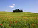 Expo: Toscana, da secoli viviamo nel futuro (ANSA)