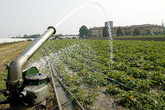 Acqua, fasi finali per nuove regole Ue su potabile e riuso (ANSA)