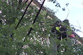 Maltempo: albero rischia crollo in via del Quirinale
