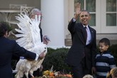 US President Barack Obama pardons the National Thanksgiving Turkey during a ceremony in the Rose Garden (ANSA)