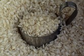 Lotta al parassita del riso, via libera a contributi della Regione Piemonte (ANSA)