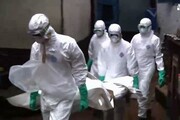 Ebola spaventa l'Europa, secondo caso a Madrid