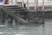A Venezia e' tempo di bassa marea