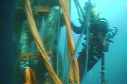 Concordia: relitto riemerso di 4 metri