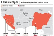 Casi e vittime dell'epidemia di ebola che ha colpito l'Africa Occidentale in un'infografica realizzata da Centimetri,