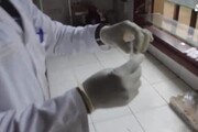 Ebola: in 3 giorni 113 nuovi casi, 84 morti