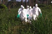 Ebola: Msf, a giorni esplodera' come una bomba