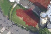 Papaveri rossi 'vestono' Torre di Londra