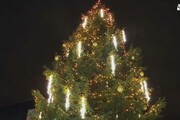 Record da Guinness, acceso albero di Natale con maxi-domino