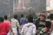 Elefantessa affamata crea panico nel Bengala
