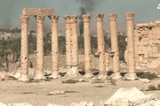 Scoperta fossa comune a Palmira