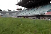 Il Tempio del rugby italiano 'un campo di patate'