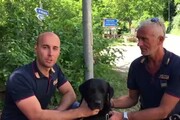 Sisma: l'unita' cinofila della Polizia presenta Leo, il cane che ha trovato Giorgia