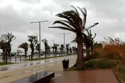Maltempo: bufera di vento e pioggia a Cagliari, disagi