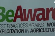 Caporalato? Individuare best practices in agricoltura per combatterlo