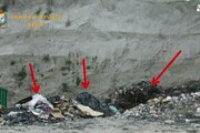 Napoli, sequestro 200mln in settore rifiuti