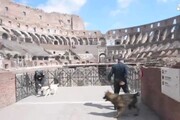 Pasqua: scattate aree sicurezza Colosseo per Via Crucis