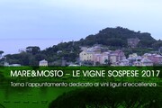 Mare&amp;Mosto 2017, appuntamento dedicato ai vini liguri d'eccellenza