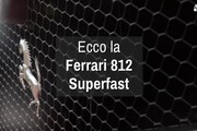Ecco la Ferrari 812 Superfast