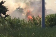 Incendio a Ladispoli, disagi alla circolazione