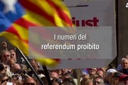 I numeri del referendum proibito