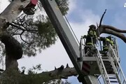 Maltempo a Roma, un intervento dei pompieri